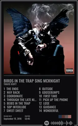 Travis Scott - Birds In The Trap Sing McKnight.jpg